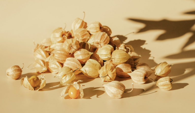 cape gooseberry dried
